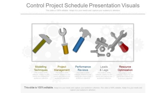 Control Project Schedule Presentation Visuals