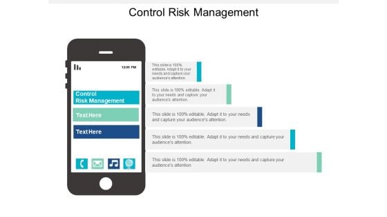 Control Risk Management Ppt PowerPoint Presentation Styles Tips Cpb