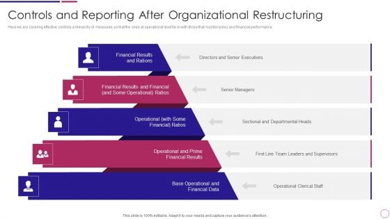 Controls And Reporting After Organizational Restructuring Ppt PowerPoint Presentation File Show PDF