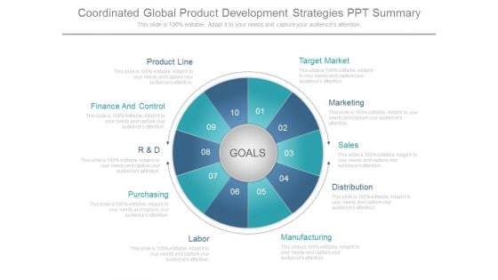 Coordinated Global Product Development Strategies Ppt Summary