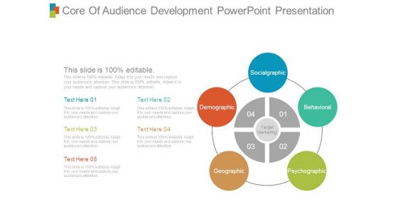 Core Of Audience Development Powerpoint Presentation
