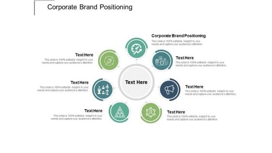 Corporate Brand Positioning Ppt PowerPoint Presentation Show Outline Cpb