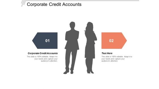 Corporate Credit Accounts Ppt PowerPoint Presentation Samples Cpb