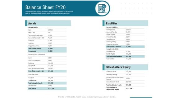 Corporate Execution And Financial Liability Report Balance Sheet FY20 Graphics PDF