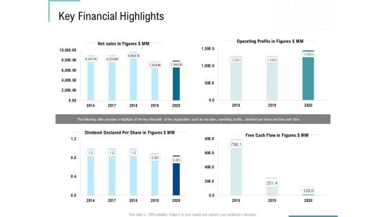 Corporate Execution And Financial Liability Report Key Financial Highlights Infographics PDF