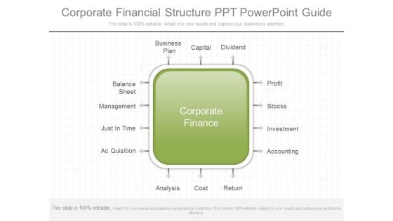 Corporate Financial Structure Ppt Powerpoint Guide