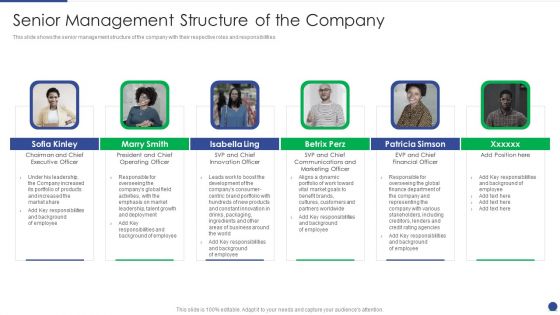 Corporate Governance Protocols And Business Structure Senior Management Structure Of The Company Slides PDF