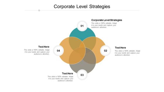 Corporate Level Strategies Ppt PowerPoint Presentation Infographic Template Show Cpb