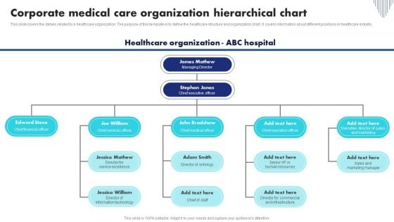 Corporate Medical Care Organization Hierarchical Chart Ideas PDF