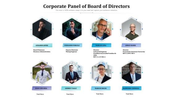 Corporate Panel Of Board Of Directors Ppt PowerPoint Presentation File Background Image PDF