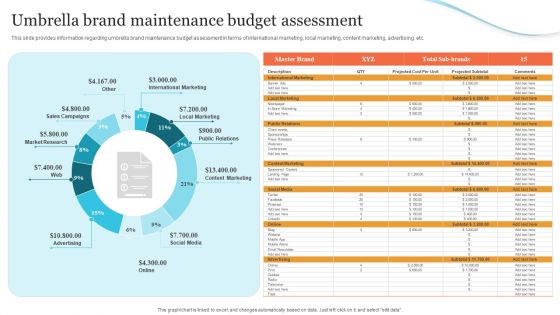 Corporate Product And Overall Umbrella Brand Maintenance Budget Assessment Elements PDF