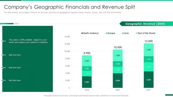 Corporate Profile IT Organization Companys Geographic Financials And Revenue Split Summary PDF