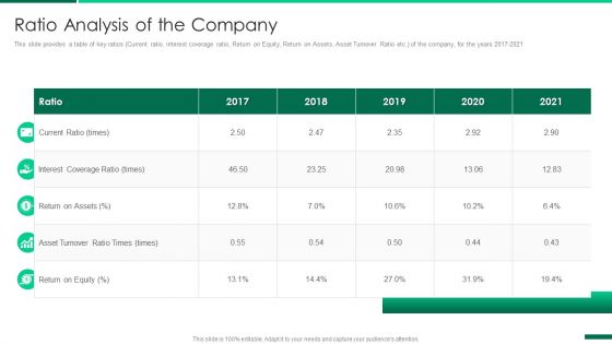 Corporate Profile IT Organization Ratio Analysis Of The Company Portrait PDF