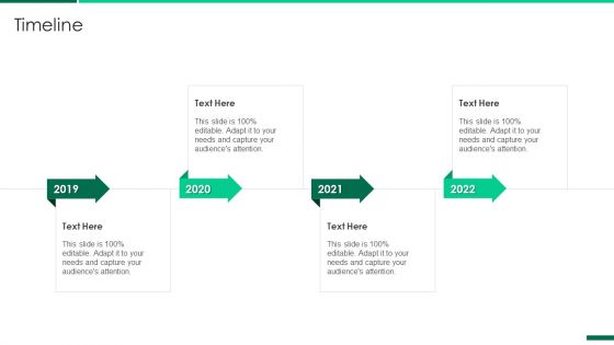 Corporate Profile IT Organization Timeline Summary PDF