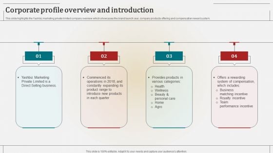 Corporate Profile Overview And Introduction Summary PDF