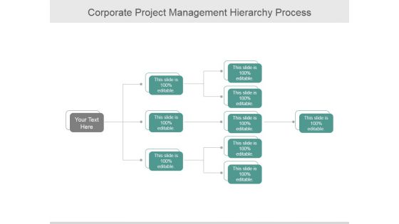 Corporate Project Management Hierarchy Process Ppt PowerPoint Presentation Show