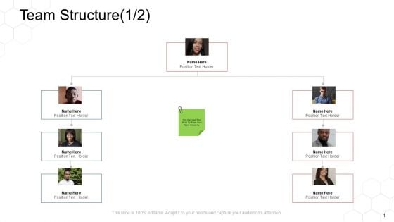 Corporate Regulation Team Structure Communication Ppt Icon Graphics Download PDF