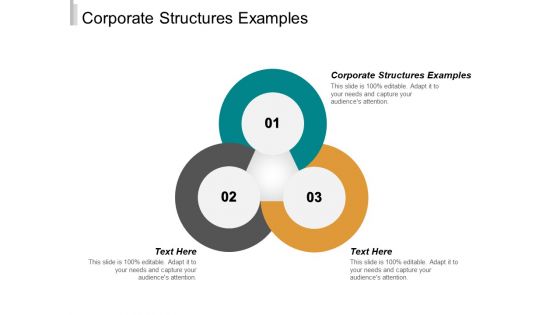 Corporate Structures Examples Ppt PowerPoint Presentation Summary Guide Cpb