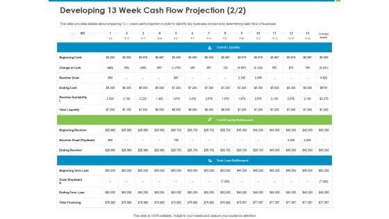 Corporate Turnaround Strategies Developing 13 Week Cash Flow Projection Liquidity Portrait PDF