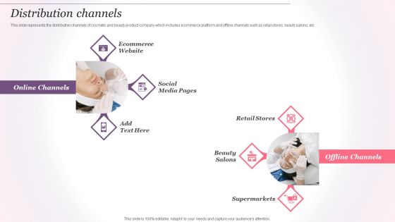 Cosmetics And Skin Care Company Profile Distribution Channels Ppt Professional Graphics Example PDF