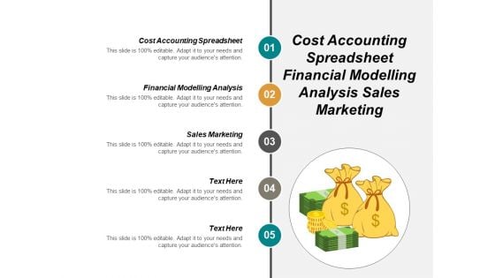 Cost Accounting Spreadsheet Financial Modelling Analysis Sales Marketing Ppt PowerPoint Presentation Summary Gridlines