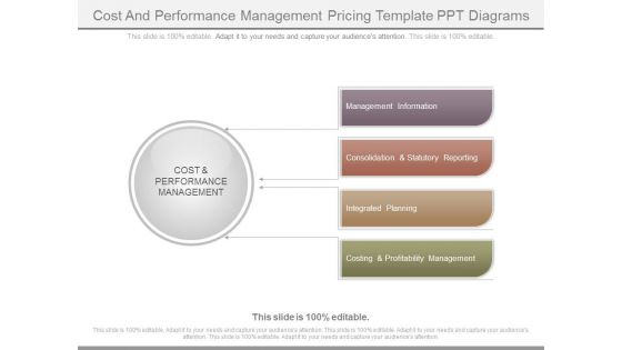 Cost And Performance Management Pricing Template Ppt Diagrams