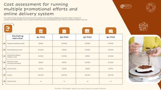 Cost Assessment For Running Multiple Promotional Efforts And Online Delivery System Formats PDF