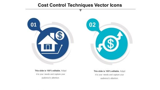 Cost Control Techniques Vector Icons Ppt PowerPoint Presentation Styles Images PDF