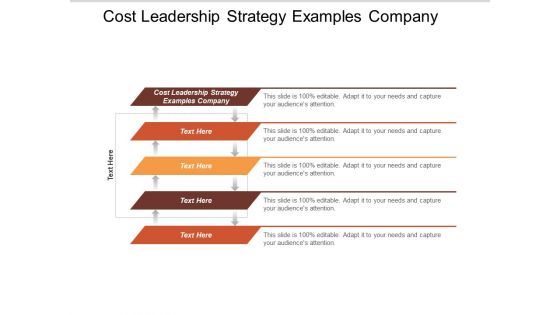 Cost Leadership Strategy Examples Company Ppt Powerpoint Presentation Ideas Gallery Cpb