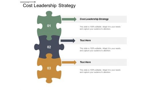 Cost Leadership Strategy Ppt PowerPoint Presentation Inspiration Outline