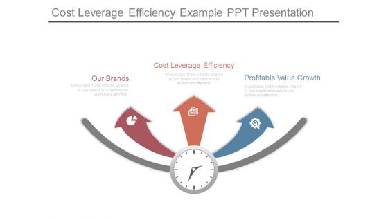 Cost Leverage Efficiency Example Ppt Presentation