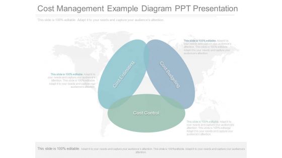 Cost Management Example Diagram Ppt Presentation