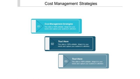 Cost Management Strategies Ppt PowerPoint Presentation Ideas Example Introduction Cpb