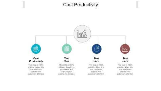 Cost Productivity Ppt Powerpoint Presentation File Show Cpb