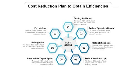 Cost Reduction Plan To Obtain Efficiencies Ppt PowerPoint Presentation Icon Design Templates