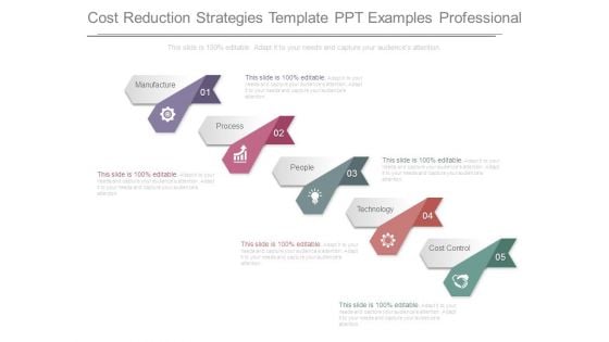 Cost Reduction Strategies Template Ppt Examples Professional