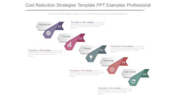 Cost Reduction Strategies Template Ppt Examples Professional Cost Reduction Strategies Template Ppt Examples Professional