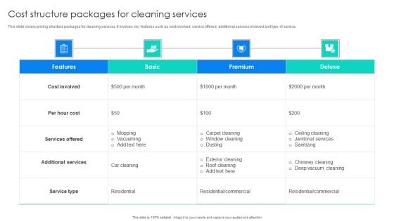 Cost Structure Packages For Cleaning Services Template PDF