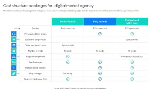 Cost Structure Packages For Digital Market Agency Guidelines PDF