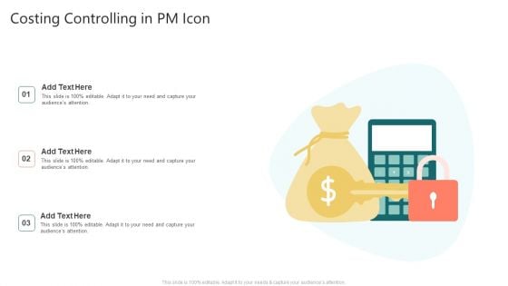 Costing Controlling In PM Icon Professional PDF