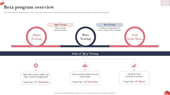 Creating And Introducing A Web Based Beta Program Overview Background PDF