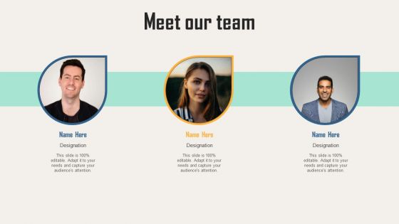 Creating Customer Personas For Customizing Meet Our Team Ppt Layouts Introduction PDF