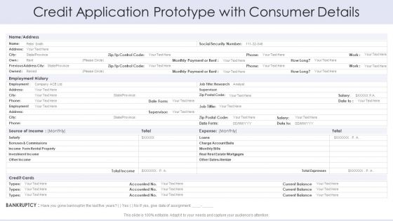 Credit Application Prototype With Consumer Details Information PDF