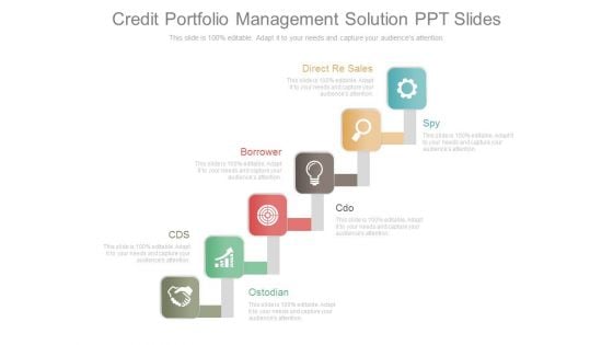 Credit Portfolio Management Solution Ppt Slides