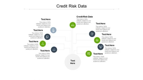 Credit Risk Data Ppt PowerPoint Presentation Styles Summary Cpb