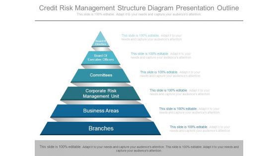 Credit Risk Management Structure Diagram Presentation Outline Credit Risk Management Structure Diagram Presentation Outline