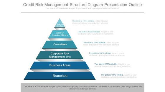 Credit Risk Management Structure Diagram Presentation Outline