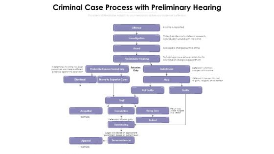 Criminal Case Process With Preliminary Hearing Ppt PowerPoint Presentation File Formats PDF