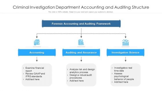 Criminal Investigation Department Accounting And Auditing Structure Ppt PowerPoint Presentation File Picture PDF