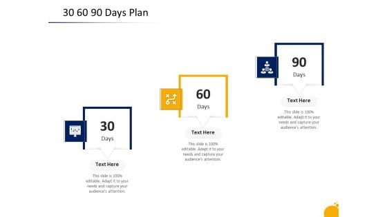 Crisis Management Program Presentation 30 60 90 Days Plan Ppt Infographic Template Show PDF